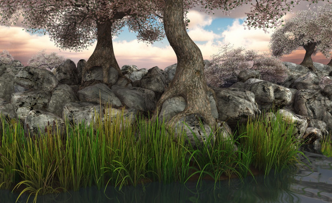 Обои картинки фото 3д, графика, nature, landscape, природа, камни, деревья, вода