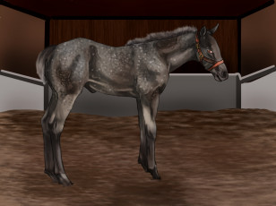 Картинка рисованные животные лошади лощадь