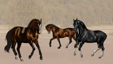 Картинка рисованные животные лошади лощади