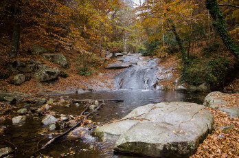 Картинка природа реки озера листва камни ручей лес осень