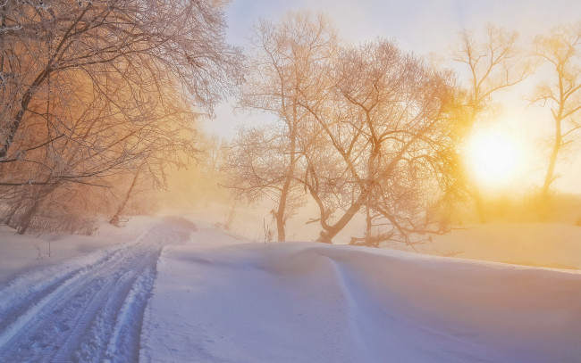 Обои картинки фото природа, зима, туман, свет, утро