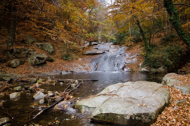 Обои картинки фото природа, реки, озера, листва, камни, ручей, лес, осень
