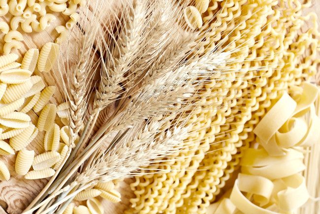 Обои картинки фото еда, макаронные блюда, спиральки, ракушки, пшеница