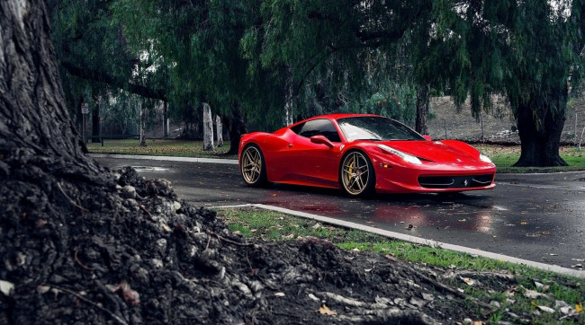 Обои картинки фото автомобили, ferrari, лес, дорога, красный, феррари