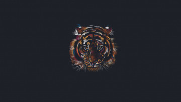 Картинка рисованное минимализм взгляд тигр морда