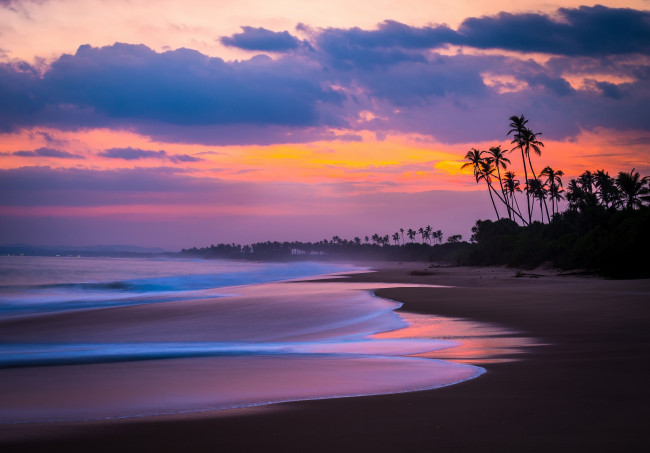 Обои картинки фото природа, побережье, океан, облака, пляж, небо, пальмы, море, вечер