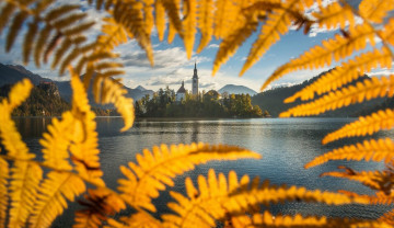 Картинка города блед+ словения озеро остров папоротник осень