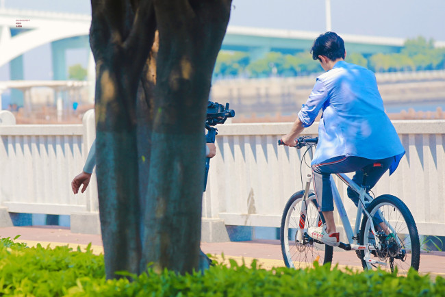 Обои картинки фото мужчины, xiao zhan, актер, велосипед, камера, дерево