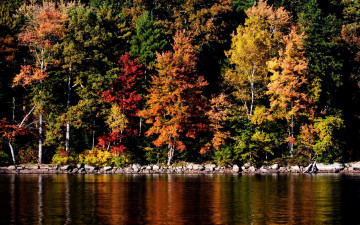 Картинка lake massabesic auburn nh природа деревья