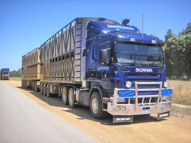 Обои картинки фото автомобили, scania