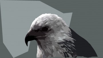 Картинка рисованные животные птицы ястреб серый клюв