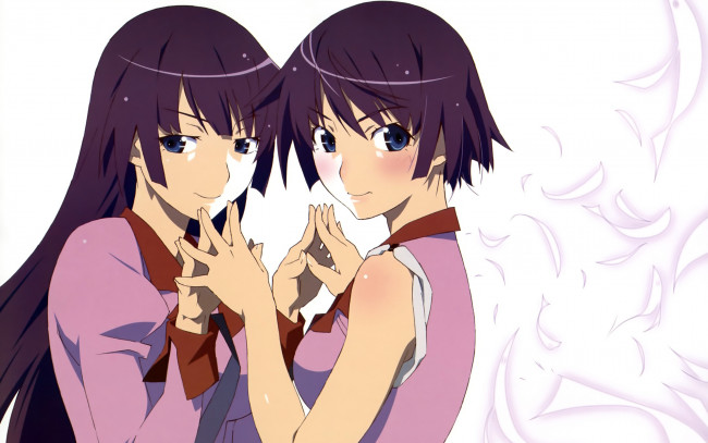 Обои картинки фото аниме, bakemonogatari, senjougahara hitagi, девушка, форма