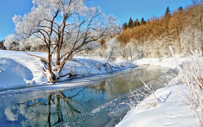 Обои картинки фото природа, зима, деревья, снег, лед, река