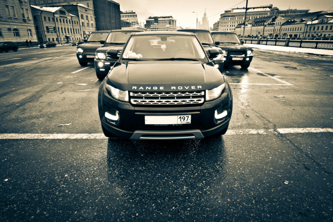 Обои картинки фото автомобили, range, rover, land