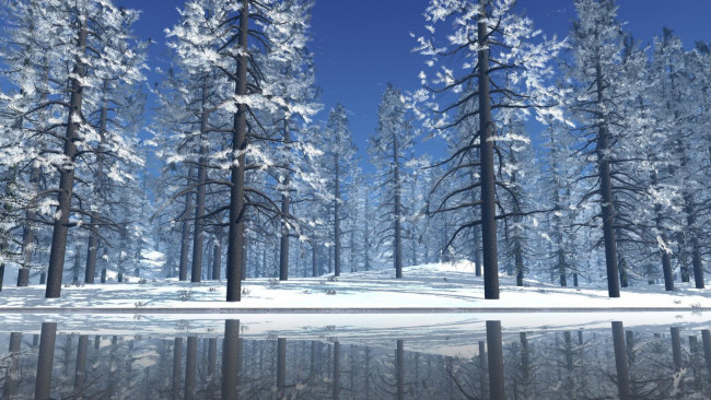 Обои картинки фото 3д графика, природа , nature, зима, снег, деревья