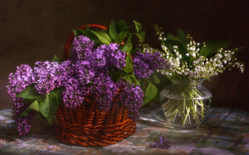 Картинка цветы разные+вместе весна букеты ландыши сирень белый лиловый