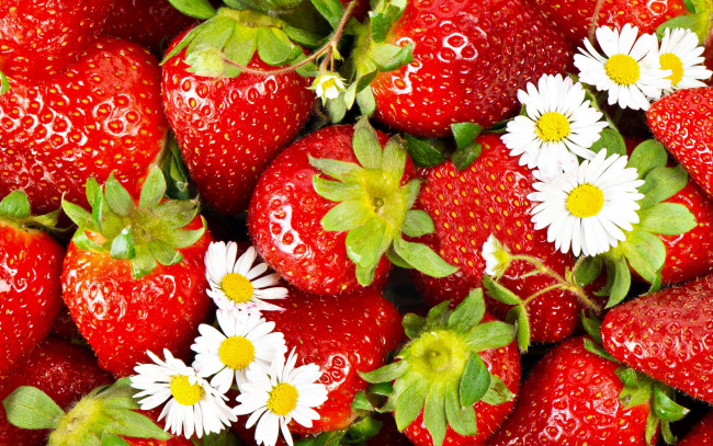 Обои картинки фото еда, клубника,  земляника, красная, ягода, ромашки, цветы