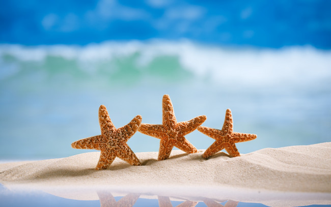 Обои картинки фото разное, ракушки,  кораллы,  декоративные и spa-камни, пляж, summer, песок, морская, звезда, sand, starfishes, море, vacation, sea, beach