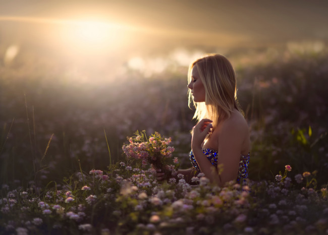 Обои картинки фото девушки, -unsort , блондинки, in, dreams, девушка, поле, цветы, солнце