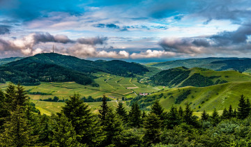 Картинка природа поля германия kaiserstuhl hills леса плантации деревья панорама небо облака
