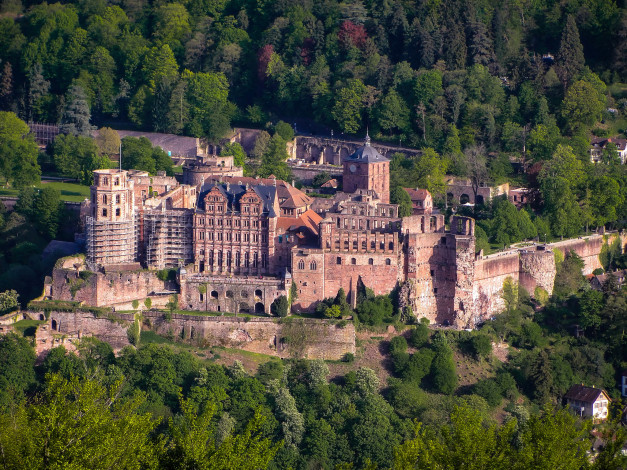 Обои картинки фото города, замки германии, германия, heidelberg, castle, лес, деревья, замок