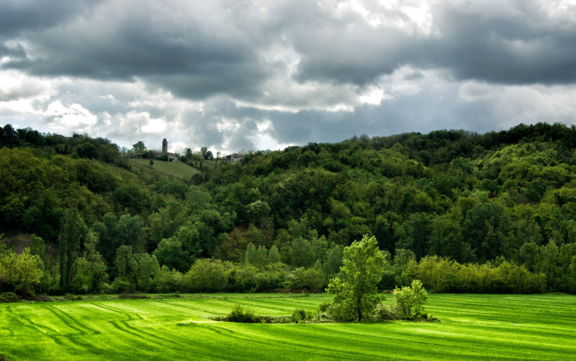 Обои картинки фото природа, лес, италия, lugagnano, val, darda, поле, холмы, трава, деревья, зелень, тучи