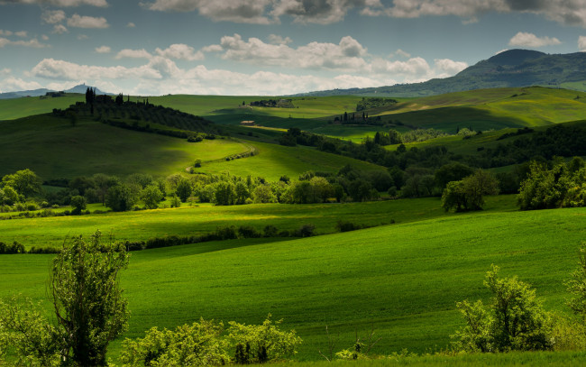 Обои картинки фото природа, поля, италия, tuscany, тоскана, луга, холмы, зелень, трава, деревья, облака