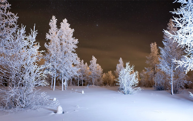 Обои картинки фото природа, зима, деревья, снег, ночь