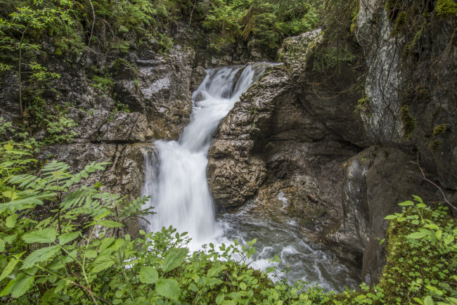 Обои картинки фото природа, водопады, водопад, река, лес