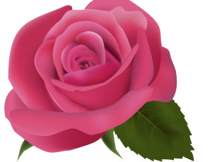 Картинка векторная+графика цветы+ flowers роза фон цветы