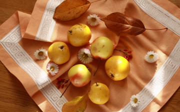 Картинка еда Яблоки осень яблоки груши фрукты красиво натюрморт салфетка