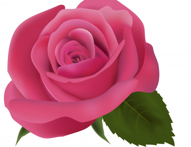 Обои картинки фото векторная графика, цветы , flowers, роза, фон, цветы