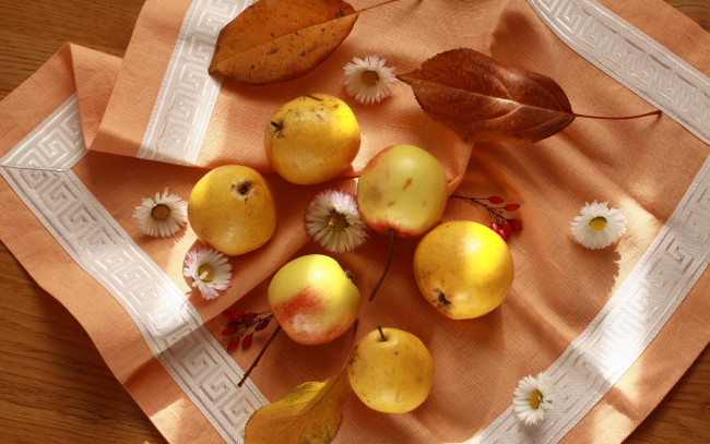 Обои картинки фото еда, Яблоки, осень, яблоки, груши, фрукты, красиво, натюрморт, салфетка