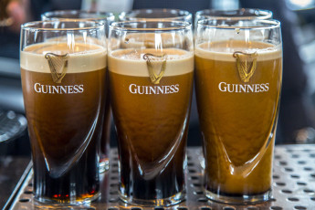 обоя бренды, guinness, пиво