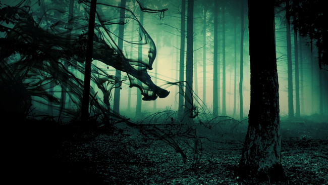 Обои картинки фото разное, компьютерный дизайн, туман, лес, тьма