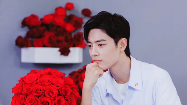 Обои картинки фото мужчины, xiao zhan, актер, розы, презентация