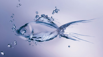 Картинка 3д+графика животные+ animals рыба вода пузыри