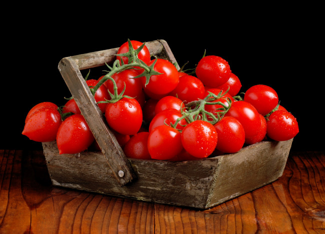 Обои картинки фото еда, помидоры, капли, красные, спелые