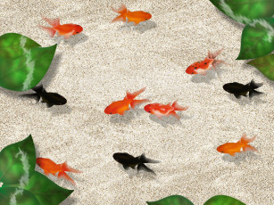 Картинка 3д графика animals животные рыбки аквариум