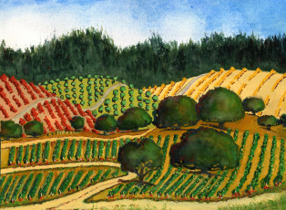 Картинка рисованные природа поля виноградник
