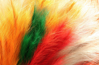 Картинка разное перья разноцветный пушистый