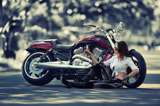 Обои картинки фото мотоциклы, мото, девушкой, harley-davidson