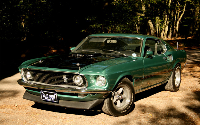 Обои картинки фото автомобили, mustang, green, ford