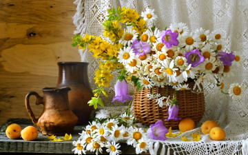 Картинка цветы букеты +композиции натюрморт кувшины посуда ромашки лето полевые абрикосы колокольчики вербейник корзина