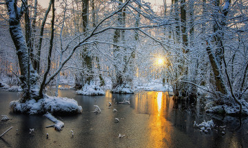 Картинка природа лес лёд рассвет деревья скандинавия зима