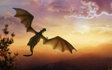 Картинка кино+фильмы pete`s+dragon dragon pete