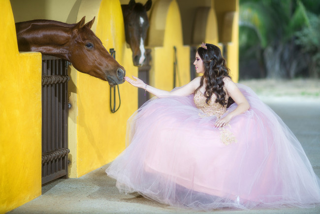 Обои картинки фото девушки, -unsort , брюнетки,  шатенки, невеста, лошадь