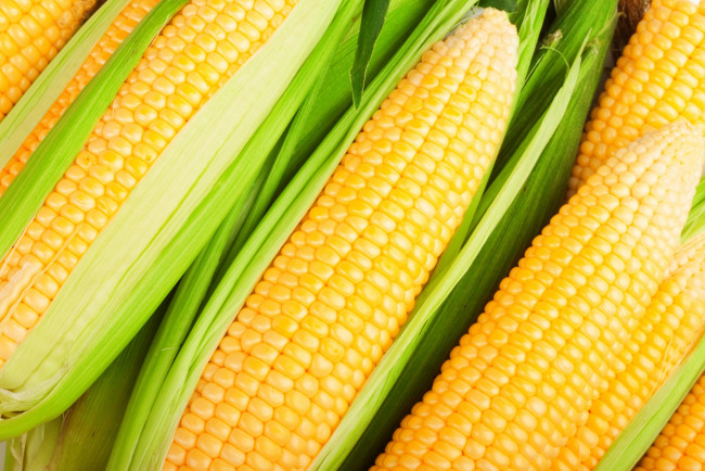 Обои картинки фото еда, кукуруза, зерна