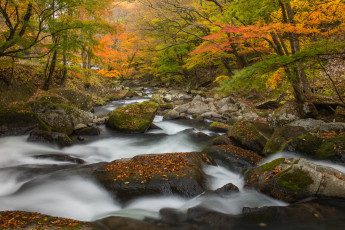 Картинка природа реки озера waterfall осень l stream water листья вода поток водопад