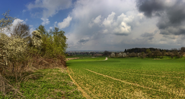 Обои картинки фото германия, природа, поля, пейзаж, дорога, облака, деревья